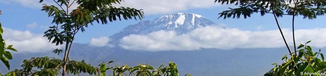 Picture: Station Kilimanjaro