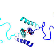 Model of the partially unfolded, strongly expanded C-terminal domain.
