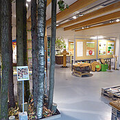 Einblicke in die Holz-Ausstellung im Botanischen Garten