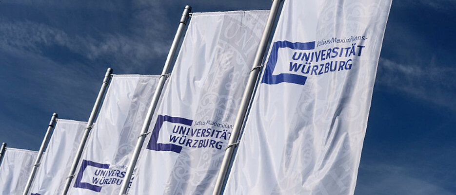 JMU flags. (Photo: Daniel Peter)