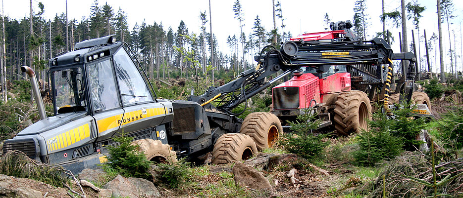 Salvage logging in the Bavarian Forest National Park
