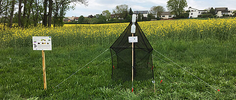 Malaise traps are highly suitable for collecting a variety of insect species in different habitats.