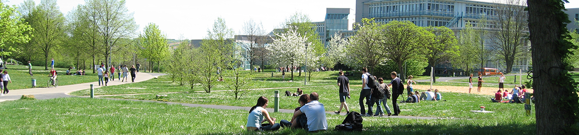 Wiese vor dem Biozentrum