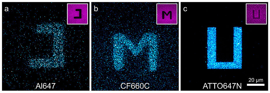 Confocal fluorescence images of glass surfaces coated with the cyanine dyes Alexa Fluor 647 (a) and CF660C (b) and with carborhodamine dye ATTO647N (c) after light excitation at 568 nanometres (nm). By exciting the red-absorbing dyes at 640 nm in certain areas (negative images top right), dyes are photoconverted there and it is possible to write letters on the surface that were excited at 568 nm and fluoresce at about 580 nm. The carborhodamine dye shows more efficient photobluing than the cyanine dyes.