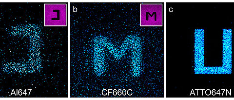 Confocal fluorescence images of glass surfaces coated with the cyanine dyes Alexa Fluor 647 (a) and CF660C (b) and with carborhodamine dye ATTO647N (c) after light excitation at 568 nanometres (nm). By exciting the red-absorbing dyes at 640 nm in certain areas (negative images top right), dyes are photoconverted there and it is possible to write letters on the surface that were excited at 568 nm and fluoresce at about 580 nm. The carborhodamine dye shows more efficient photobluing than the cyanine dyes.