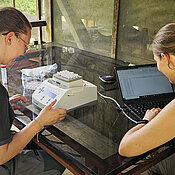 Messungen der Thermaltoleranz von Insekten durch Kim Lea Holzmann (rechts) und Antonia Abels während der Feldarbeit in Peru.