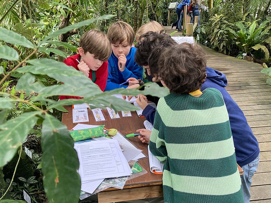 Das Foto zeigt eine Gruppe von Schülern an der Banenen-Station im Tropengewächshaus des Botanischen Gartens.