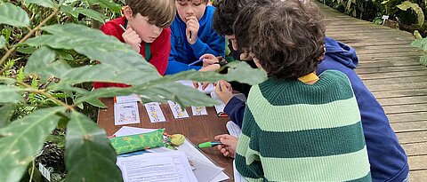 Das Foto zeigt eine Gruppe von Schülern an der Banenen-Station im Tropengewächshaus des Botanischen Gartens.