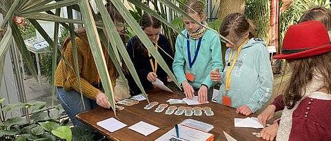 Das Foto zeigt eine Gruppe von Schülerinnen mit einer Studentin an der Ananas-Station im Nutzpflanzenhaus des Botanischen Gartens.