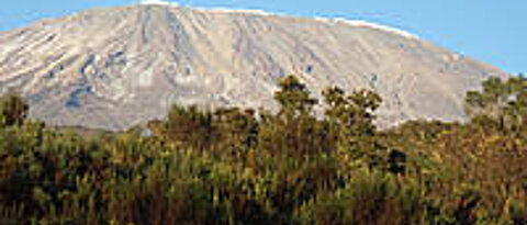 Der höchste Berg Afrikas, der gut 5.890 Meter hohe Kilimanjaro, steht im Mittelpunkt eines Forschungsvorhabens von Professor Ingolf Steffan-Dewenter. (Foto Claus Bünnagel / Pixelio.de)