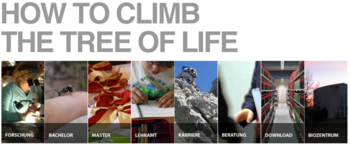 Bild und Link: HOW TO CLIMB THE TREE OF LIFE